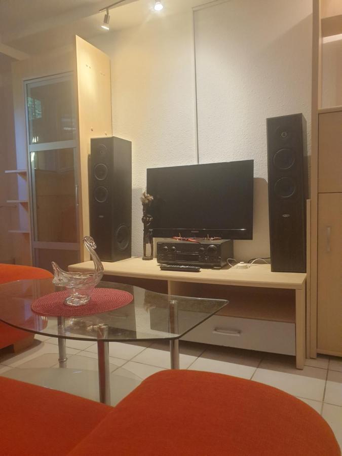 Sions Grosse Ferienwohnung Ferienwohnung Mit 3 Schlafzimmer, 2 Km Bis Zum Europapark Rust Kappel-Grafenhausen Exteriör bild